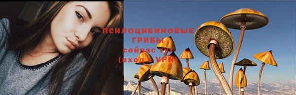 прущая мука Армянск