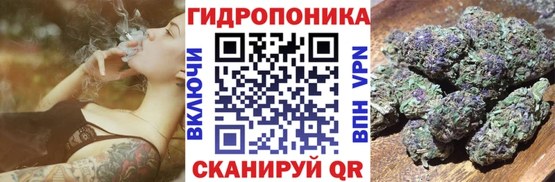 Купить где  Окуловка  Шишки марихуана конопля 